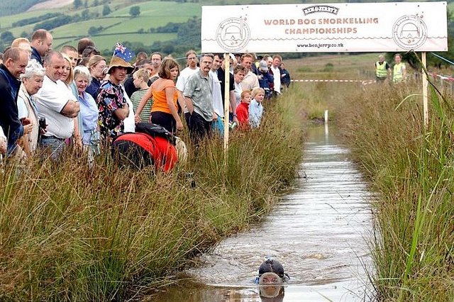 world-bog-snorkelling_royal_holiday_cruises_aquatic_sports