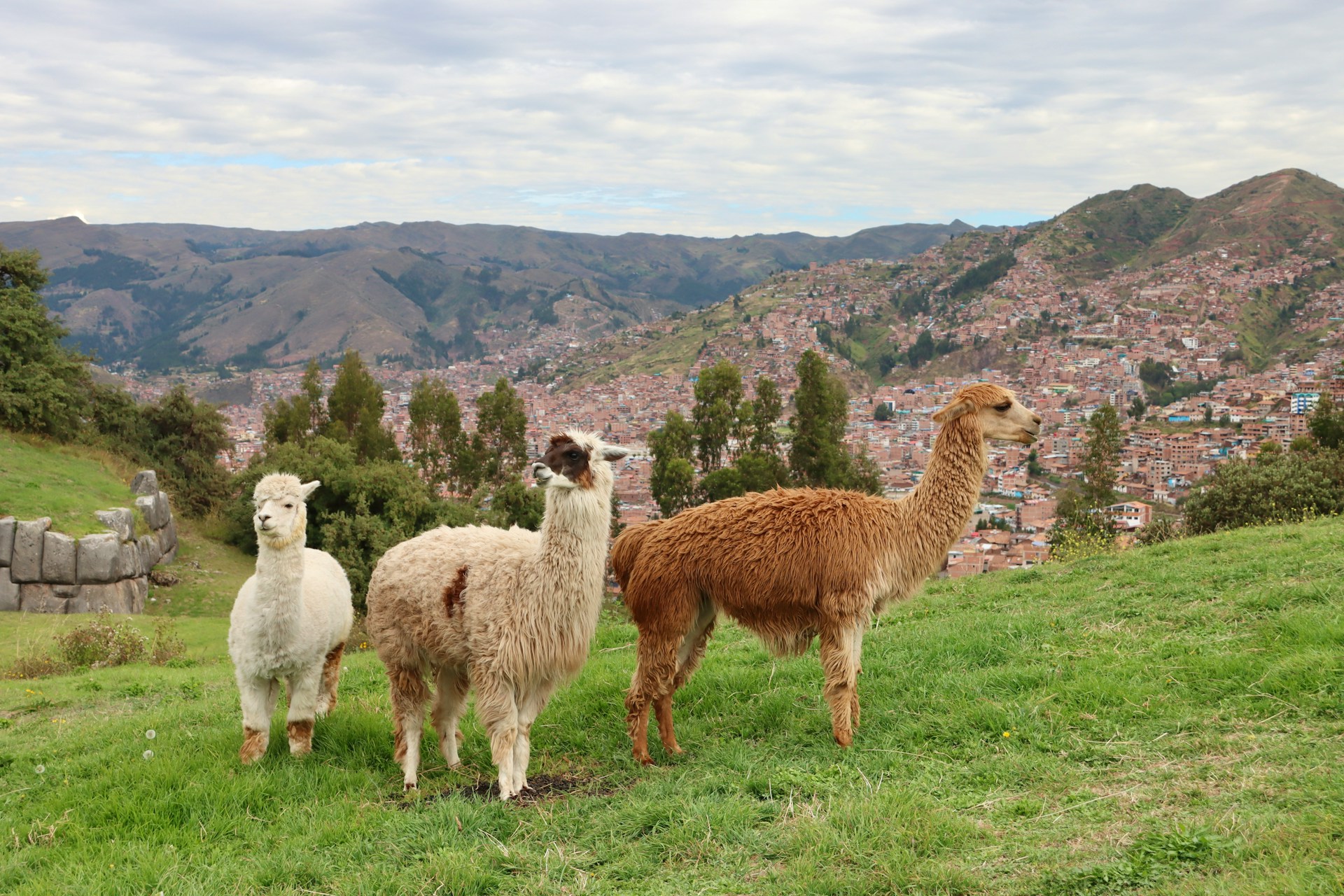 peru