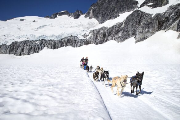 JU04, Shore Excursions, Juneau, Alaska, Taku Lodge, Family, Nature