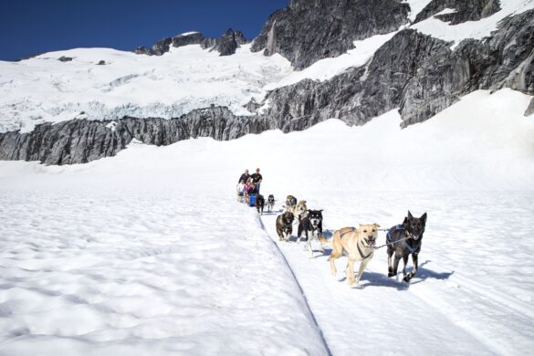 JU04, Shore Excursions, Juneau, Alaska, Taku Lodge, Family, Nature