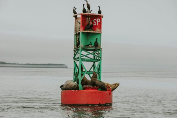 conner-baker-kFFUVf38FCA-unsplash