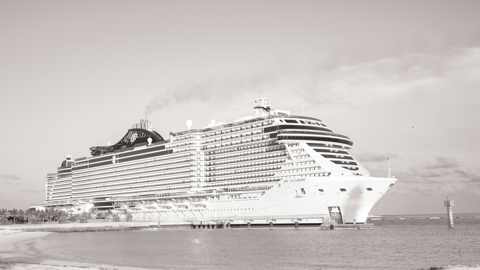 msc cruises
